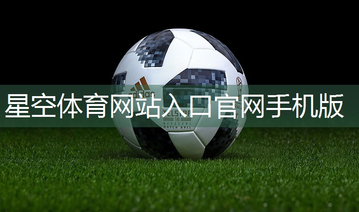 星空体育官网：全身运动运动器材