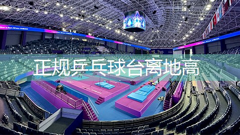 正规乒乓球台离地高