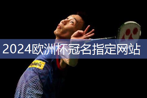 【精准指南：金陵网球柱的安装步骤】