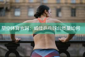 威佳乒乓球台质量如何