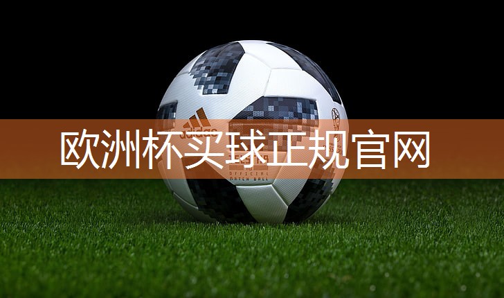 全身运动运动器材