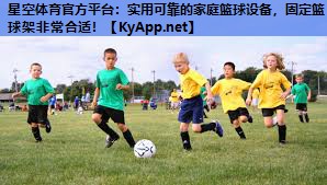 实用可靠的家庭篮球设备，固定篮球架非常合适！